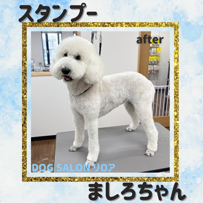 画像3899
