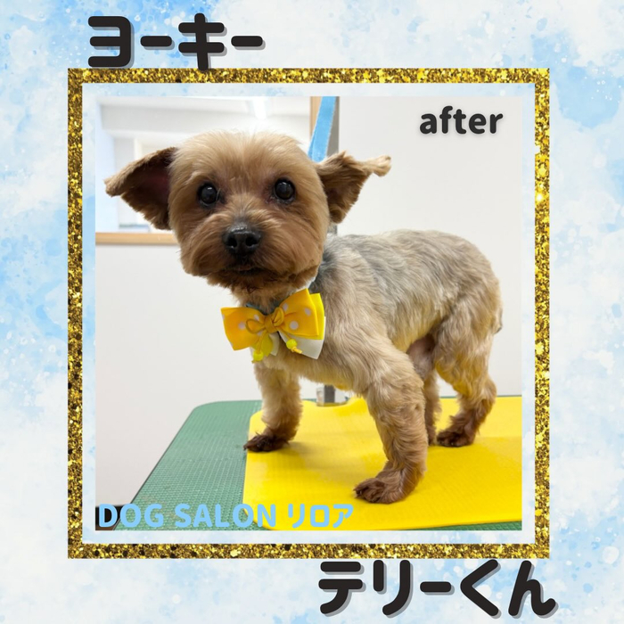 画像3934