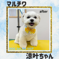 画像3943