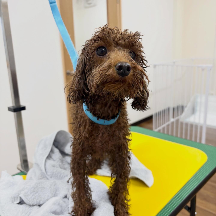 画像3962