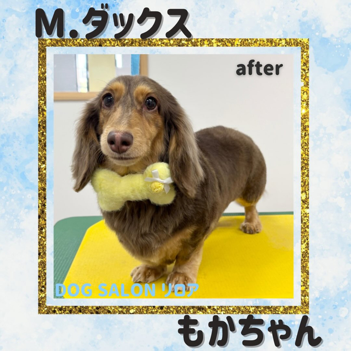 画像3982