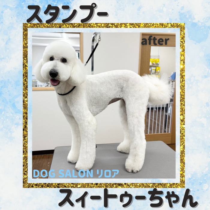 画像3990