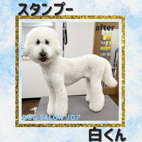 画像4005