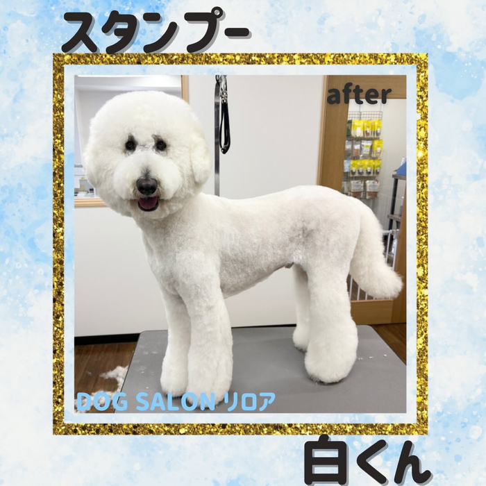 画像4005