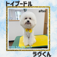 画像4053