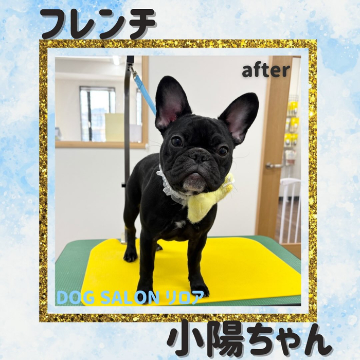 画像4060