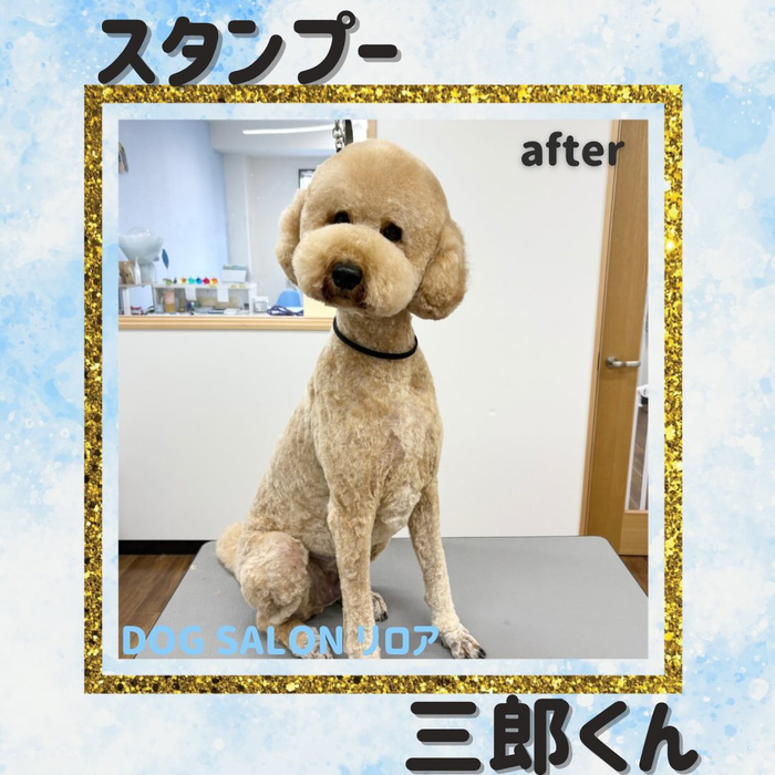 画像4091