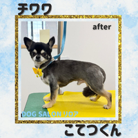 画像4112