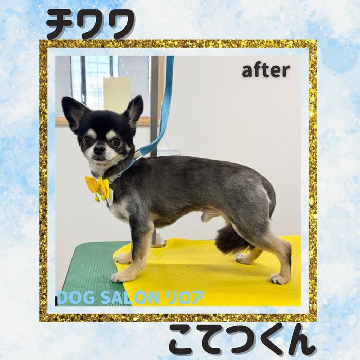 画像4112