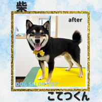 画像4127