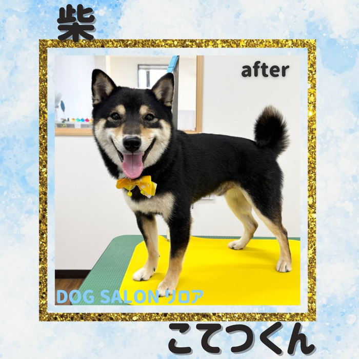 画像4127