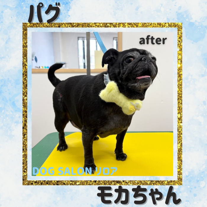 画像4135