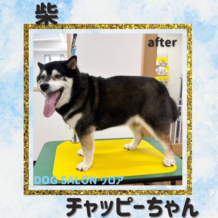画像4158