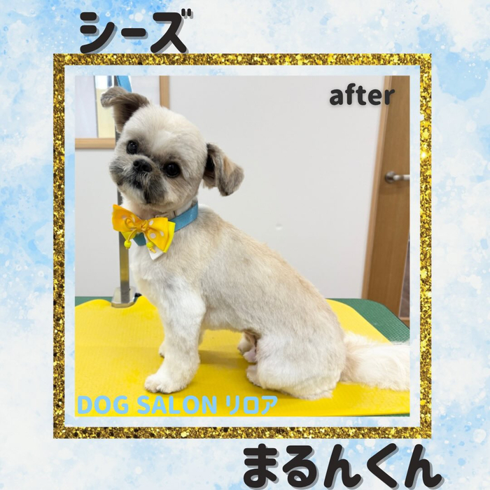 画像4211