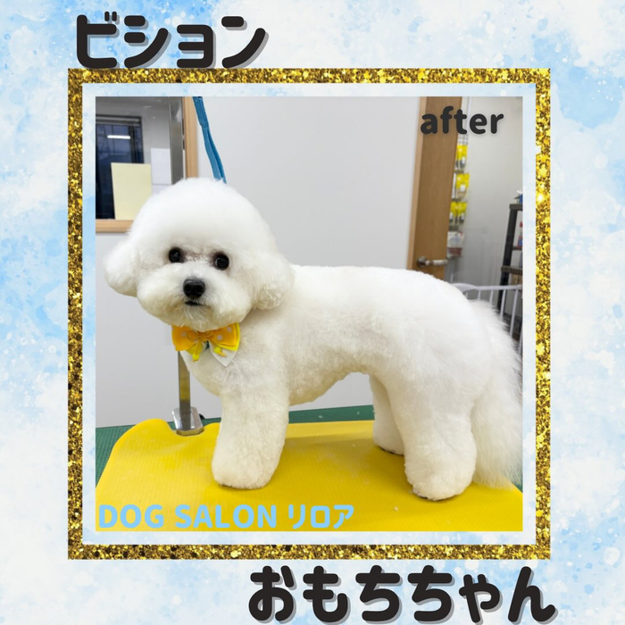 画像4218