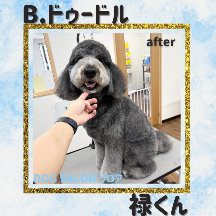 画像4232
