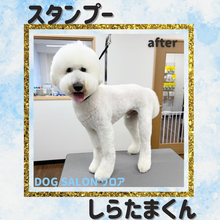 画像4246