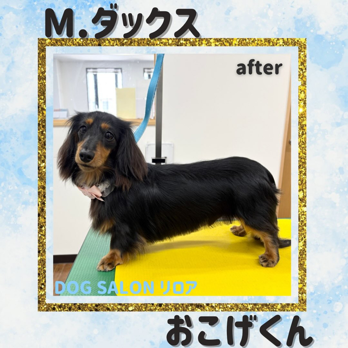 画像4293