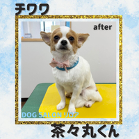画像4300