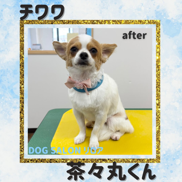 画像4300