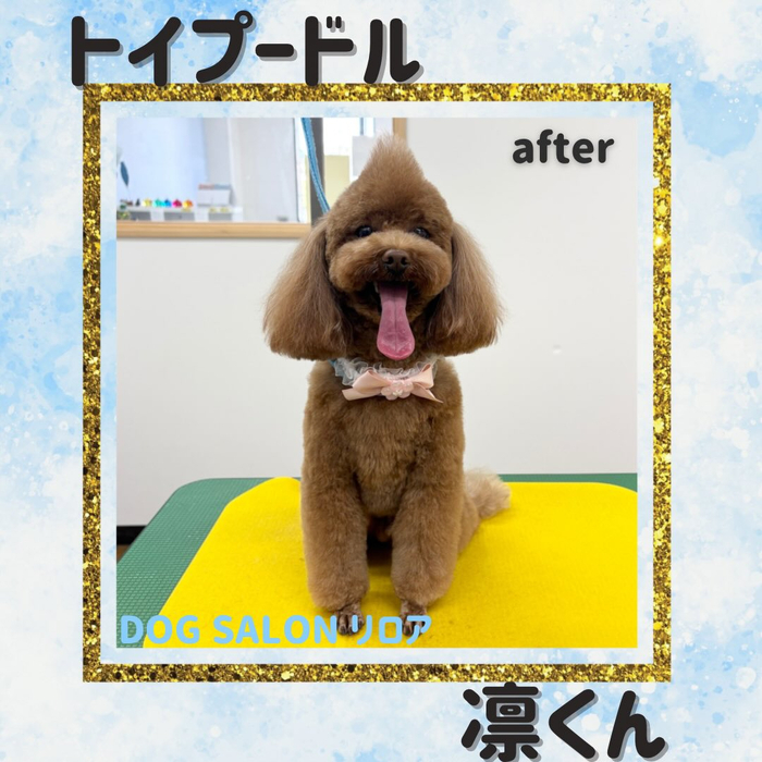 画像4337
