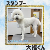 画像4345