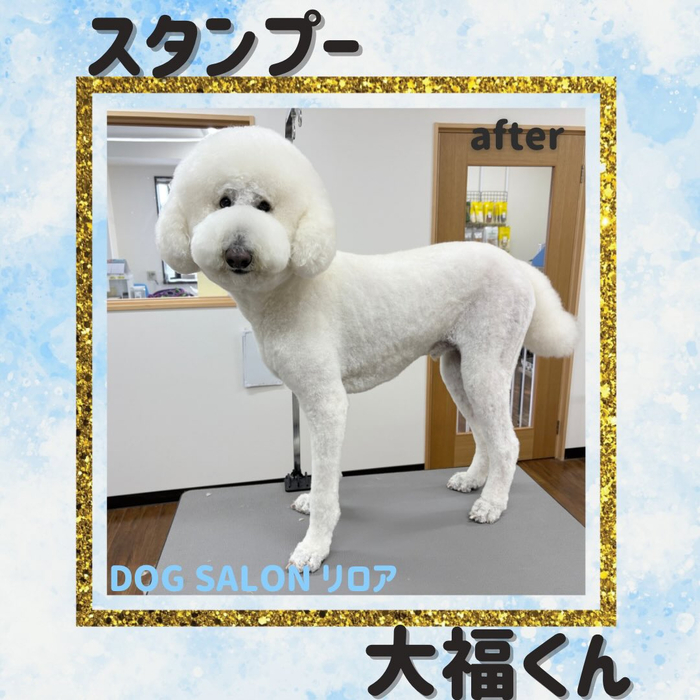 画像4345