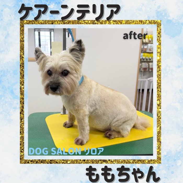 画像4352