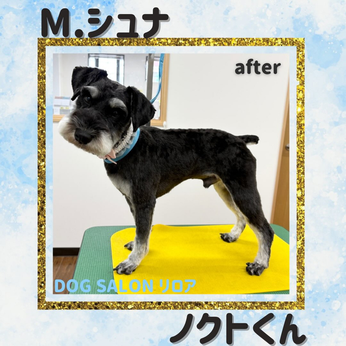 画像4359