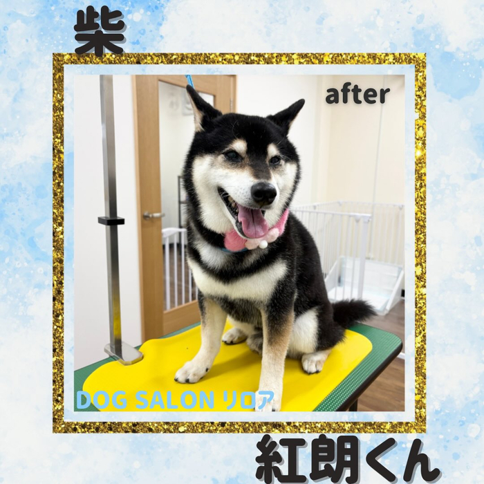画像4372