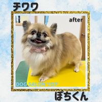 画像4379