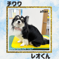 画像4386