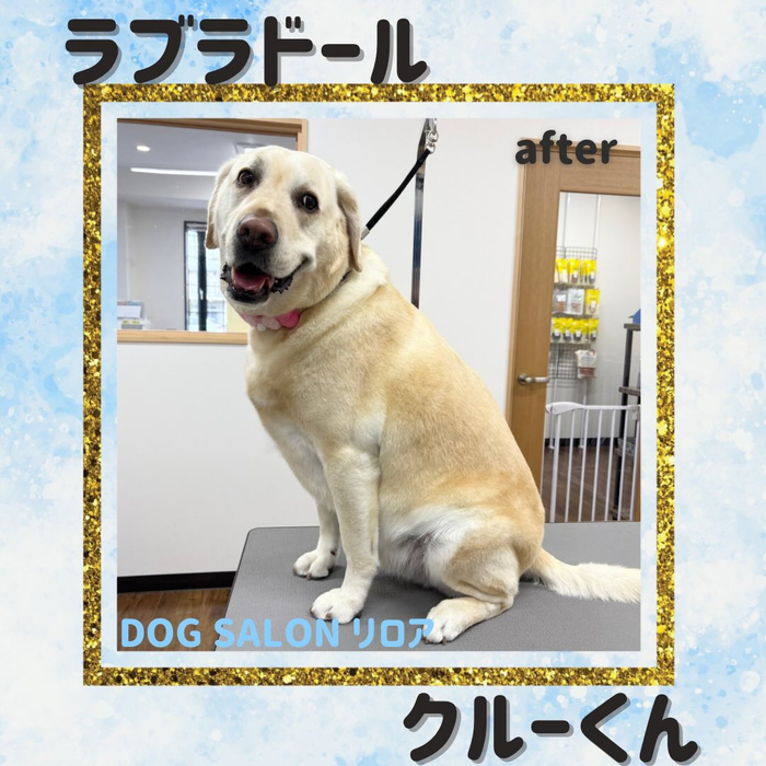 画像4393