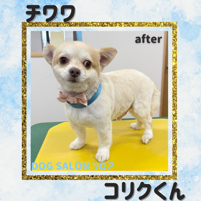 画像4408