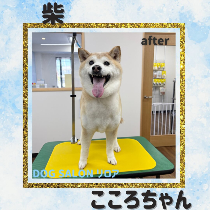 画像4415