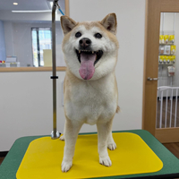 画像4416