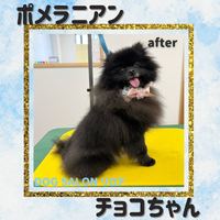 画像4429