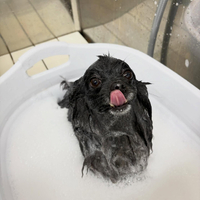 画像4433