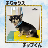画像4437