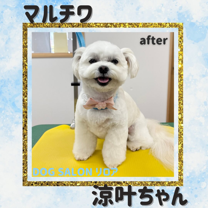 画像4444
