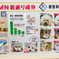 画像445