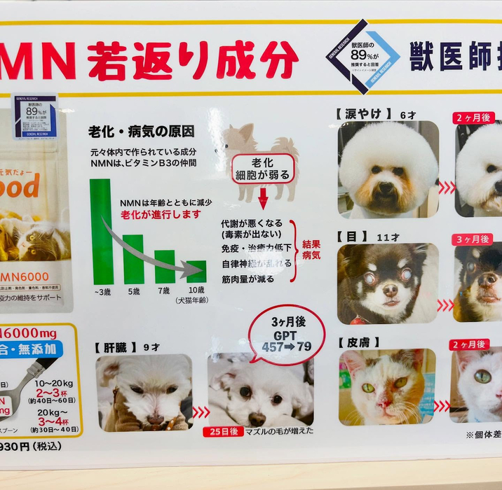 画像445