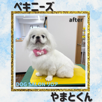 画像4452
