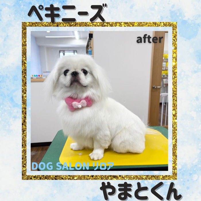 画像4452