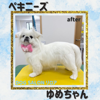 画像4459
