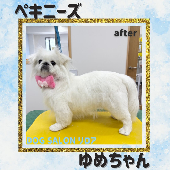 画像4466