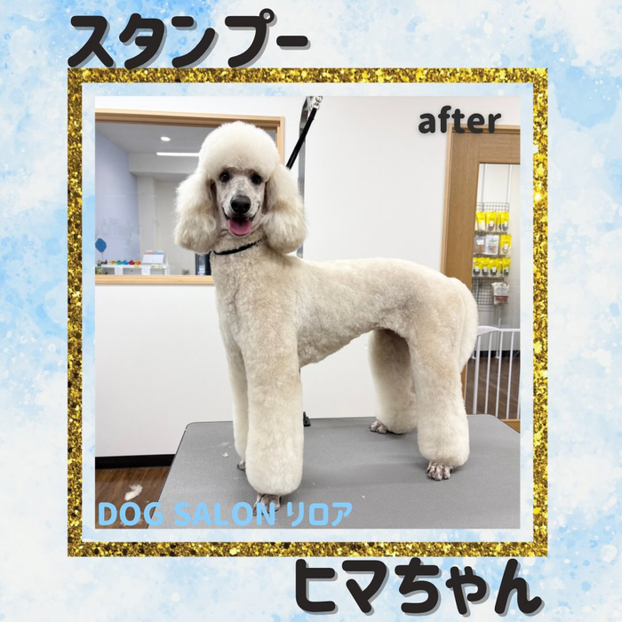 画像4473