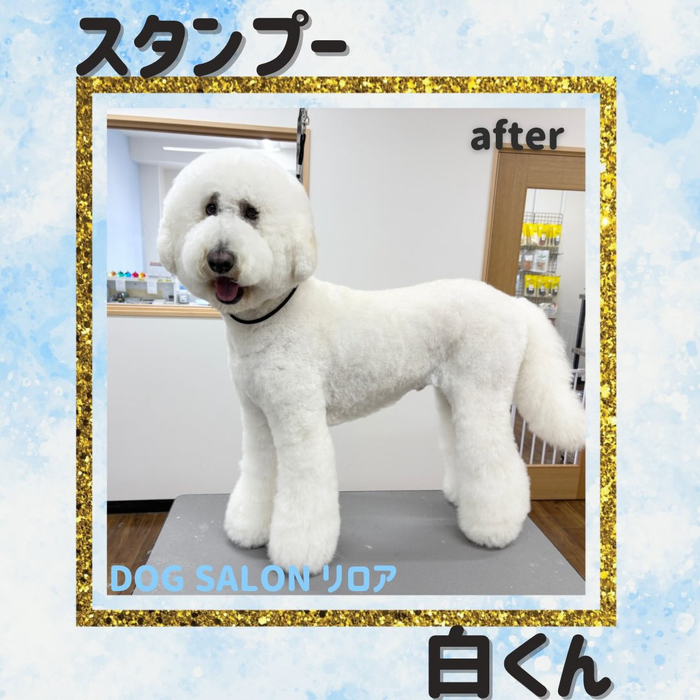 画像4489