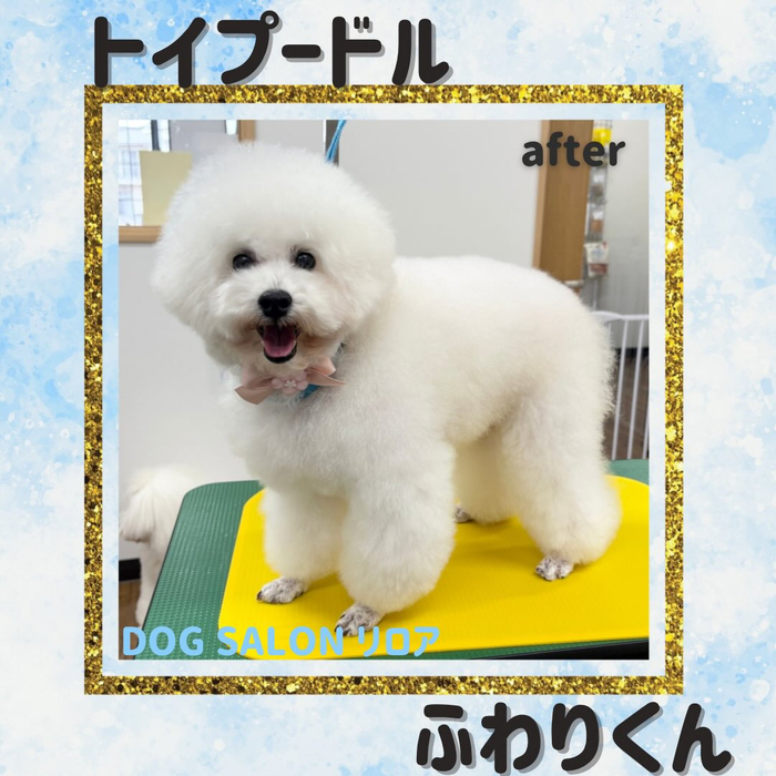 画像4496
