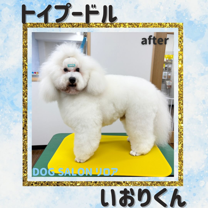 画像4503